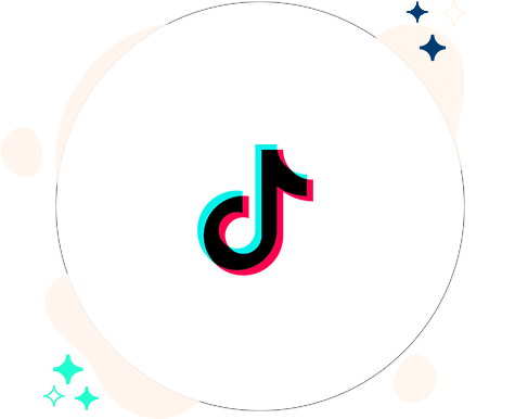 TikTok Social Media API